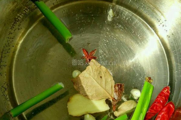 炖排骨的做法图解4