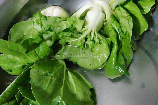 猪肝水饺面的做法图解3