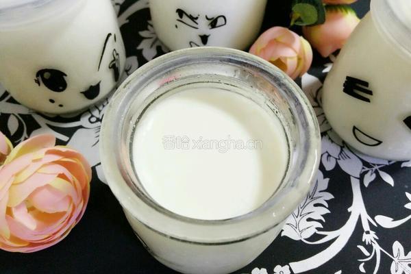 电饭锅自制酸奶的做法图解8