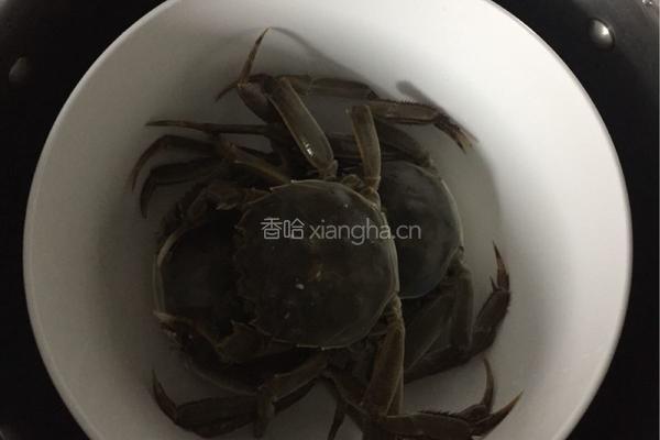 清蒸大闸蟹的做法图解2