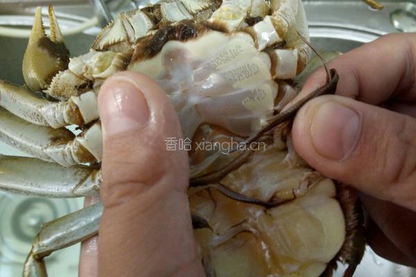 清蒸大闸蟹的做法图解3