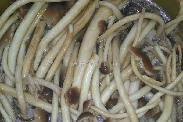 五花肉炖茶树菇的做法图解2