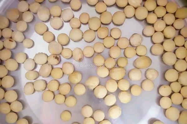 干燥的秋天来点滋补的汤食让你的肌肤Q弹起来的做法图解1