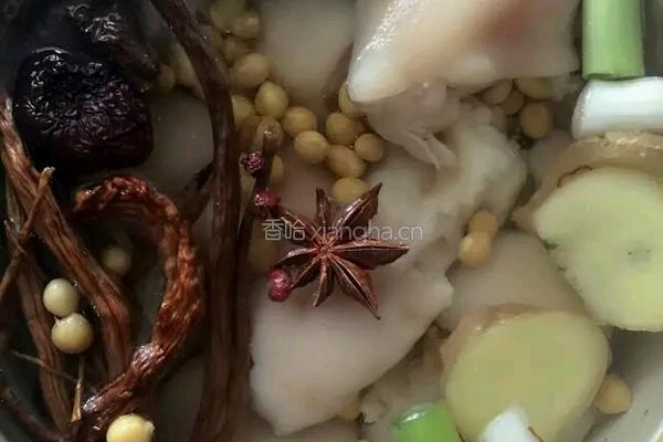 干燥的秋天来点滋补的汤食让你的肌肤Q弹起来的做法图解7