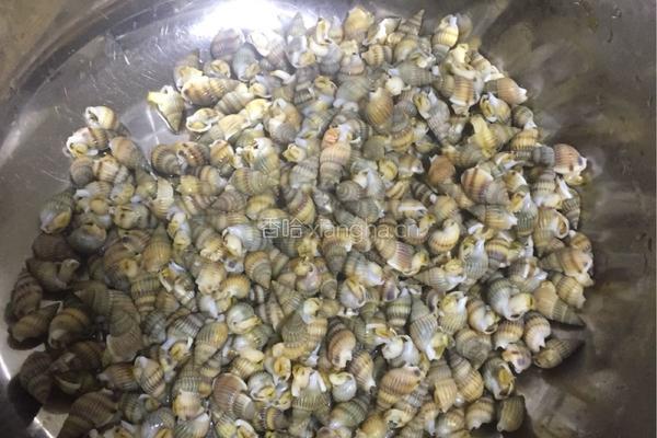 辣炒海锥的做法图解3