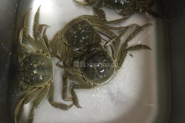 清蒸大闸蟹的做法图解1
