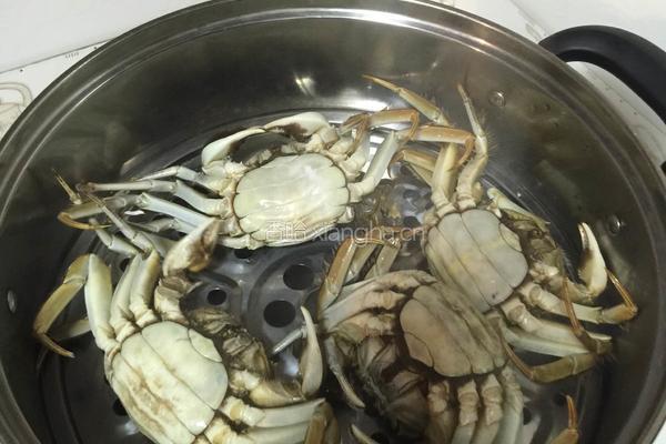 清蒸大闸蟹的做法图解4