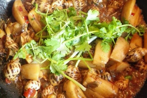 酱爆藕块花螺的做法图解9