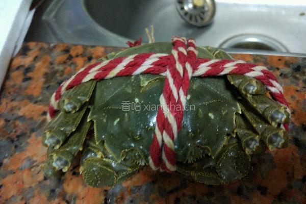 清蒸大闸蟹的做法图解2