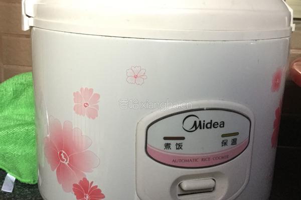 懒人焖鸡的做法图解7