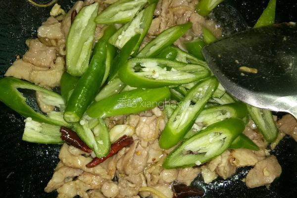 农家小炒肉的做法图解7
