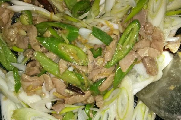 农家小炒肉的做法图解8