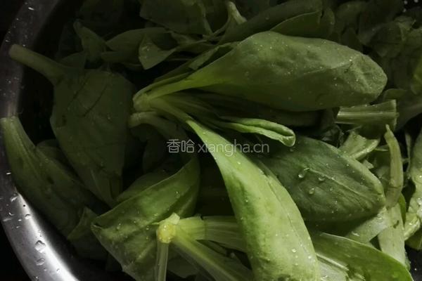 凉拌好菜的做法图解1