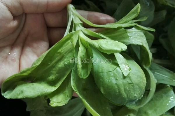 凉拌好菜的做法图解2