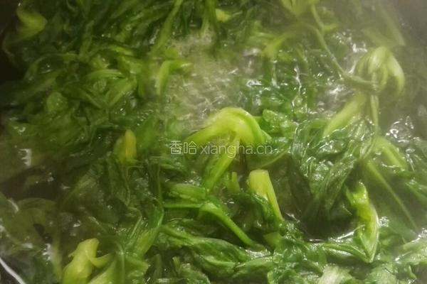 凉拌好菜的做法图解8