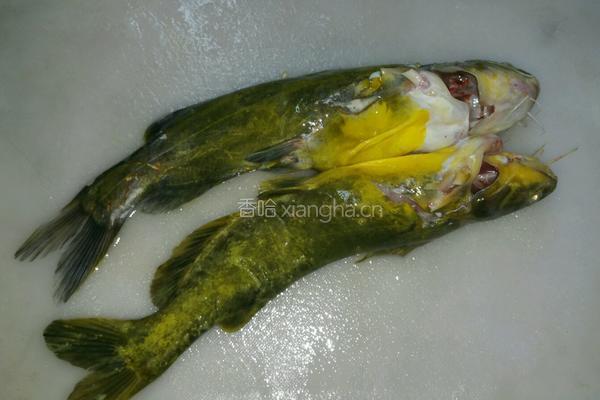 荷包蛋煮黄骨鱼的做法图解1