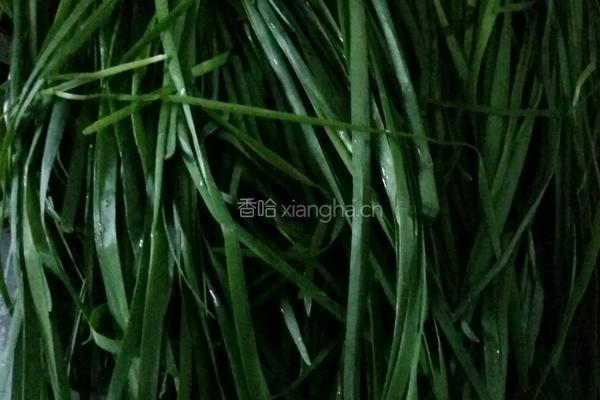 韭菜盒子的做法图解1