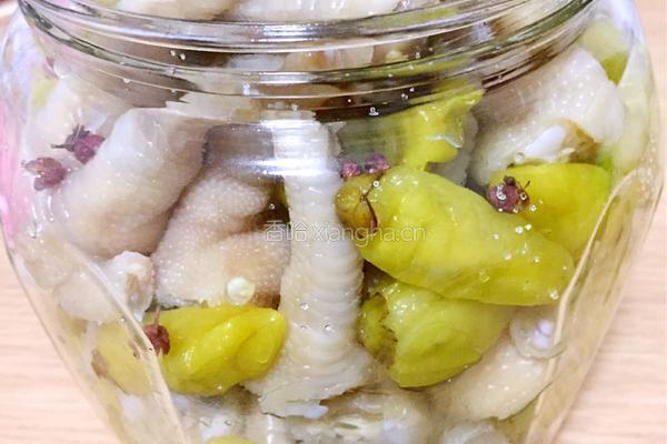 自制泡椒凤爪的做法图解3