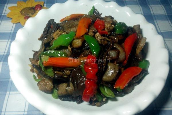 牛肝菌炒肉的做法图解13
