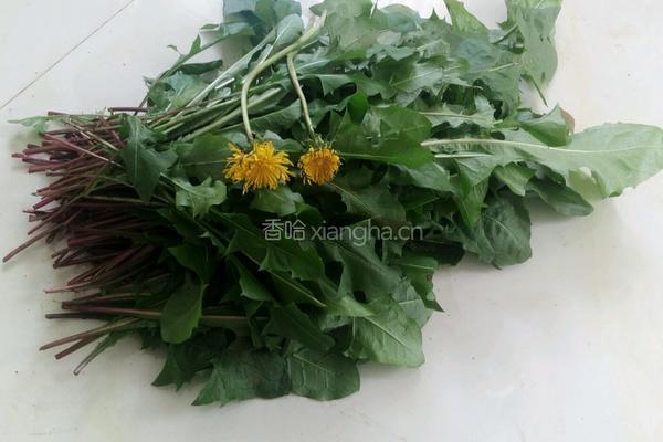 蒲公英煎蛋的做法图解1