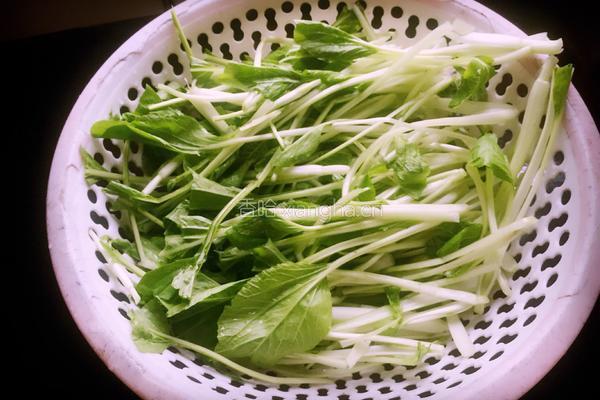 腌制下饭小白菜的做法图解2