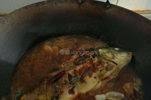 红烧鲤鱼的做法图解5