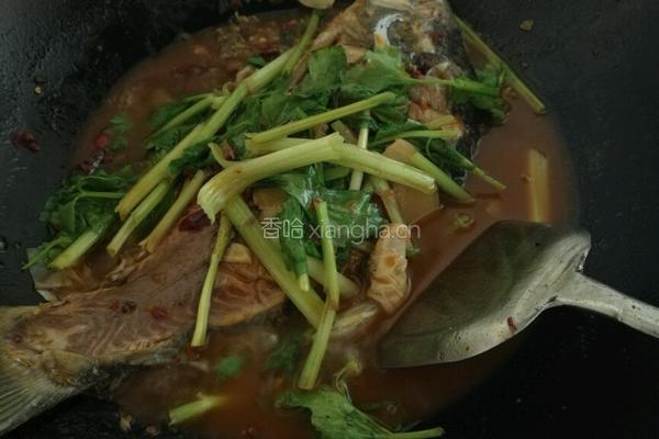 红烧鲤鱼的做法图解6