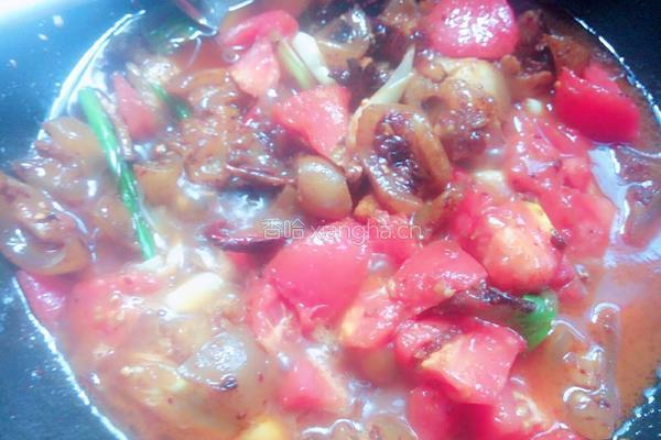 番茄土豆炖牛蹄肉的做法图解11