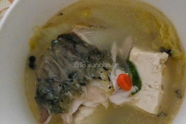 白菜豆腐鱼头汤的做法图解5