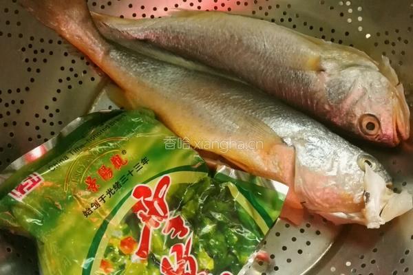 雪菜黄鱼汤的做法图解1