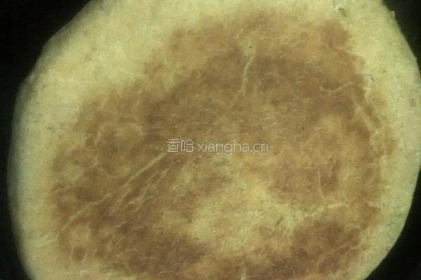 芹菜汁发面饼的做法图解9