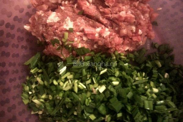 纯瘦肉韭菜水饺的做法图解4
