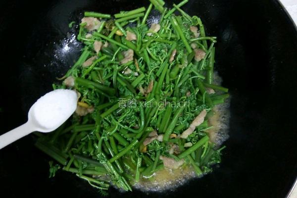 炒蕨菜的做法图解6