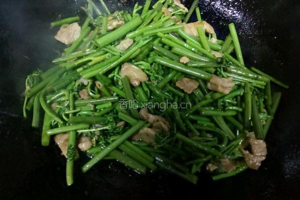 炒蕨菜的做法图解9