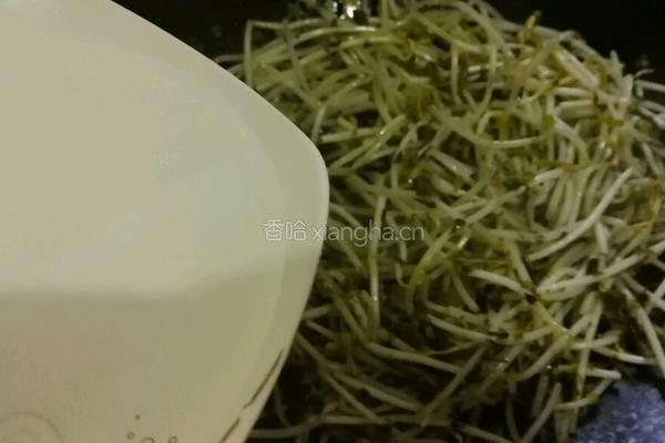 雪菜炒绿豆芽的做法图解8