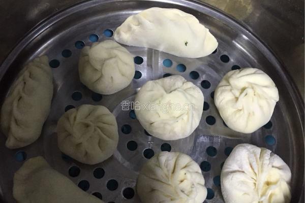萝卜茎叶素馅包子的做法图解4