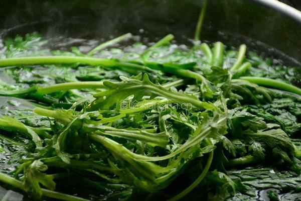 鲍汁茼蒿培根卷的做法图解2