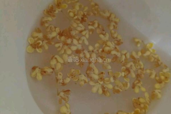 桂花桃胶的做法图解1