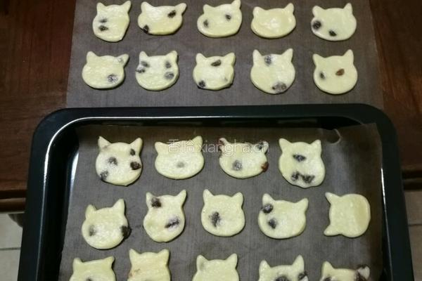 提子奶味饼干的做法图解7