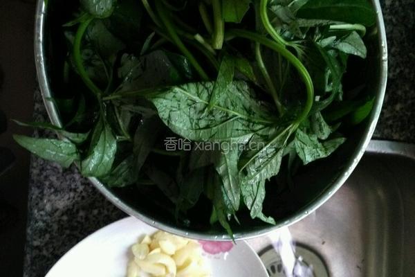 清炒红薯叶的做法图解2
