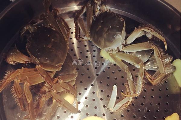 蒸蟹的做法图解3