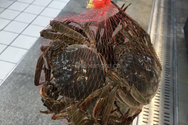 清蒸大闸蟹的做法图解1