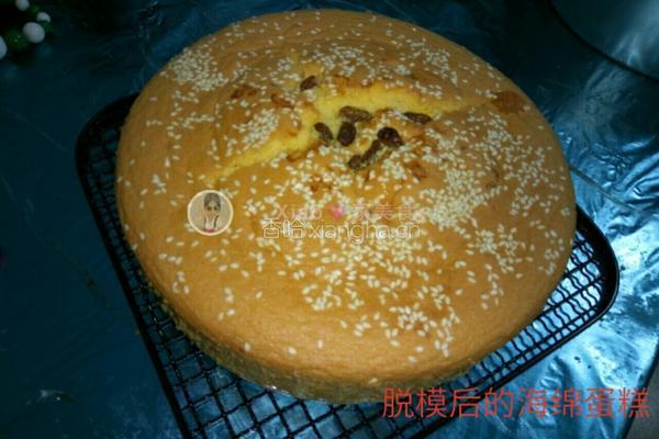 海绵蛋糕的做法图解6