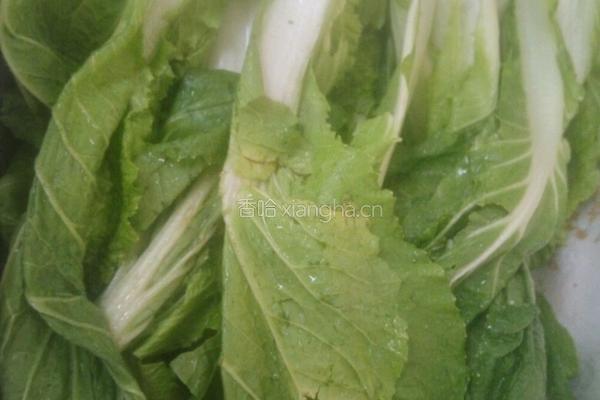 蚝油白菜的做法图解1