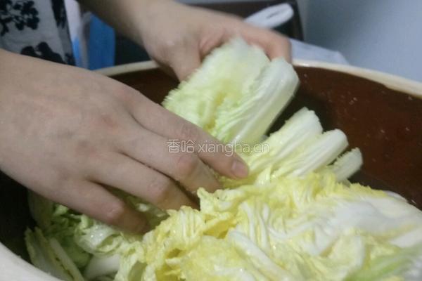 韩国鲍鱼泡菜的做法图解2