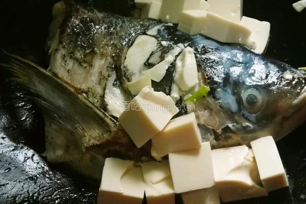 花鲢鱼头豆腐汤的做法图解10