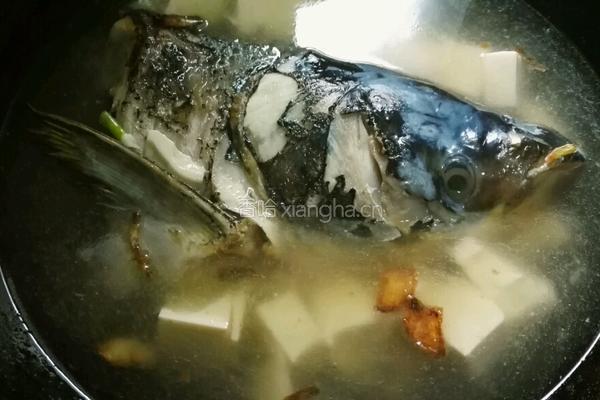 花鲢鱼头豆腐汤的做法图解11