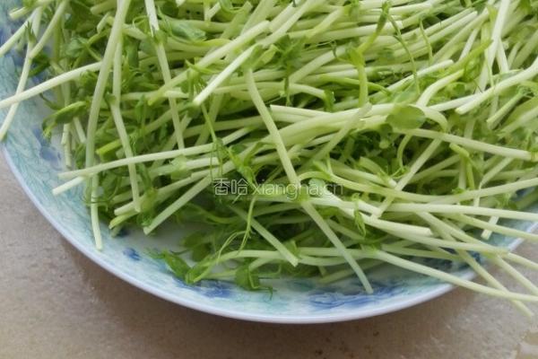 蒜炒豌豆苗的做法图解1