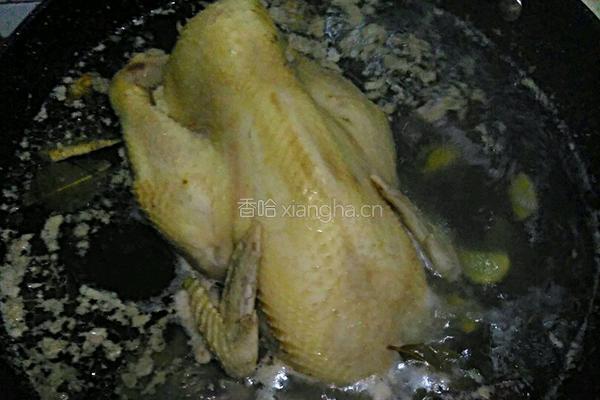白切鸡的做法图解4