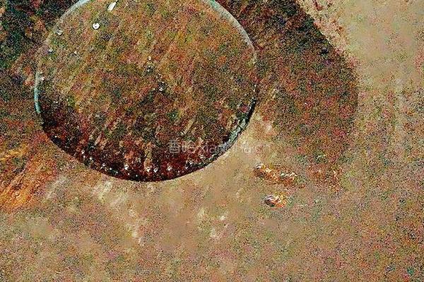窝笋青椒炒意面的做法图解6